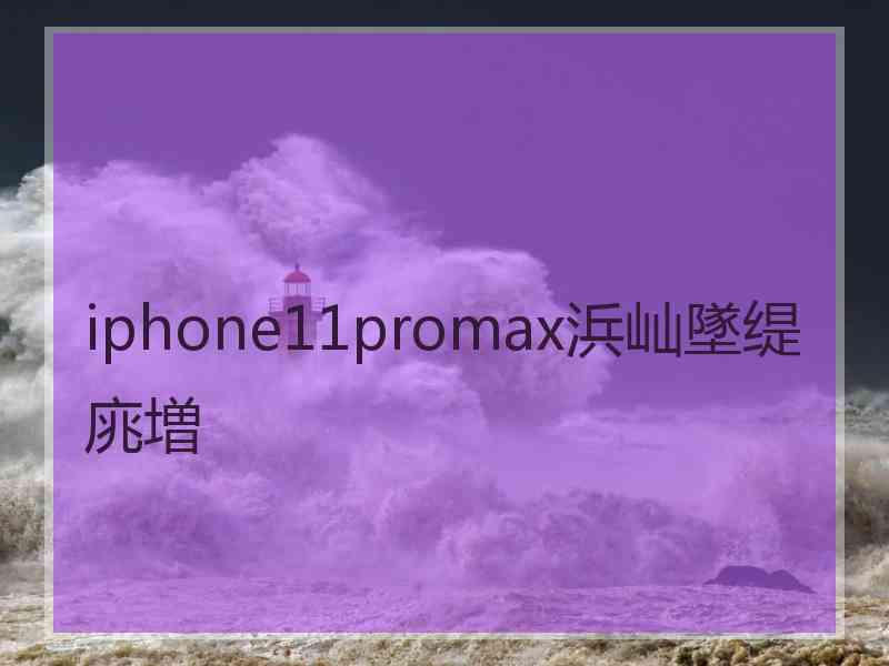 iphone11promax浜屾墜缇庣増