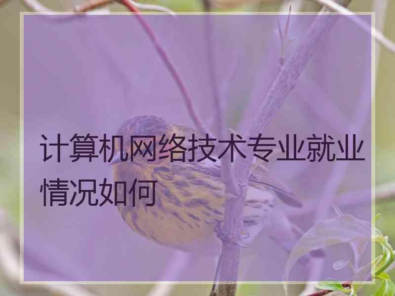 计算机网络技术专业就业情况如何