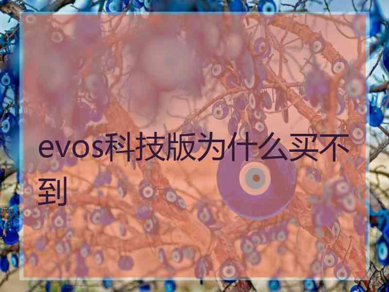 evos科技版为什么买不到