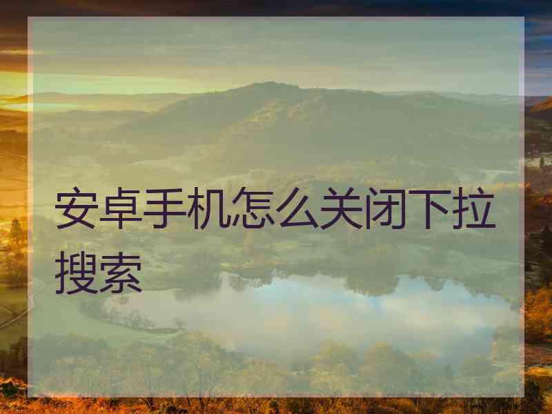 安卓手机怎么关闭下拉搜索