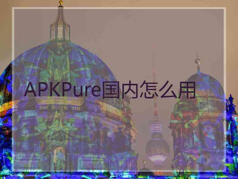 APKPure国内怎么用