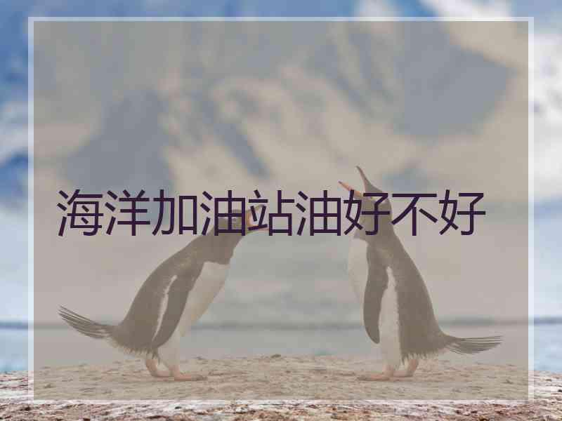 海洋加油站油好不好