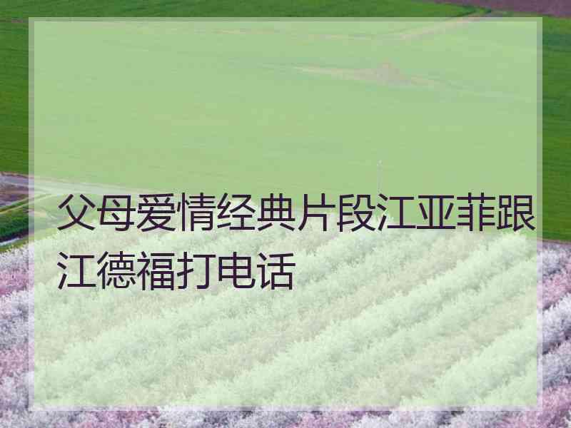 父母爱情经典片段江亚菲跟江德福打电话