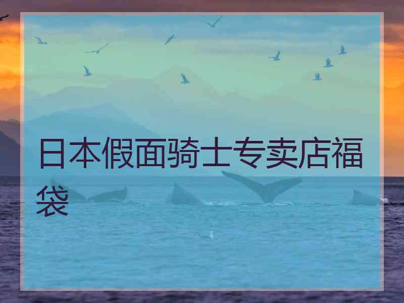 日本假面骑士专卖店福袋