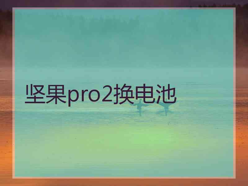 坚果pro2换电池