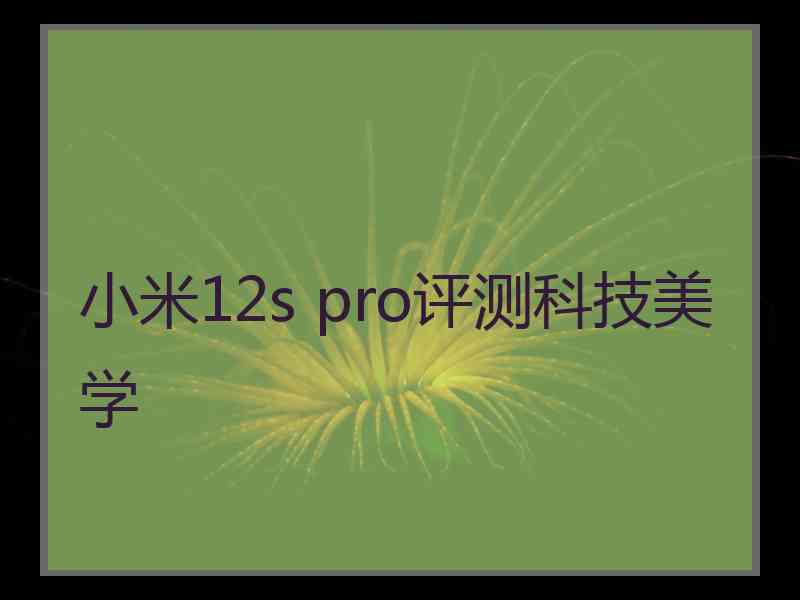 小米12s pro评测科技美学