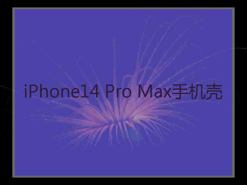 iPhone14 Pro Max手机壳