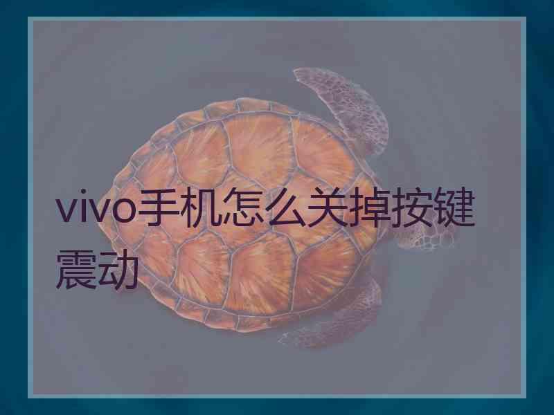 vivo手机怎么关掉按键震动