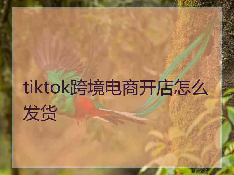 tiktok跨境电商开店怎么发货