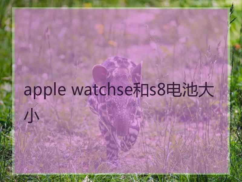 apple watchse和s8电池大小