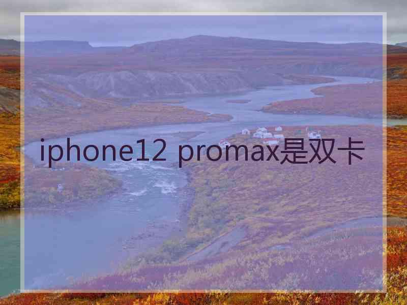 iphone12 promax是双卡