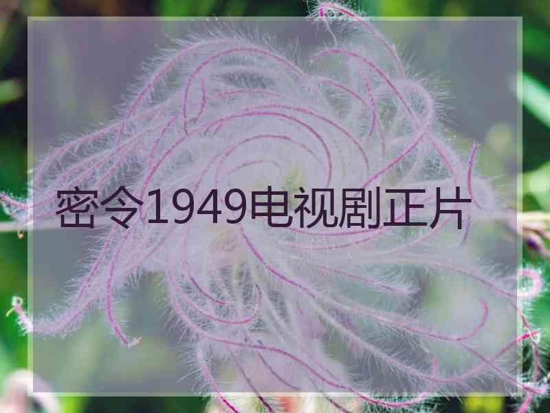 密令1949电视剧正片