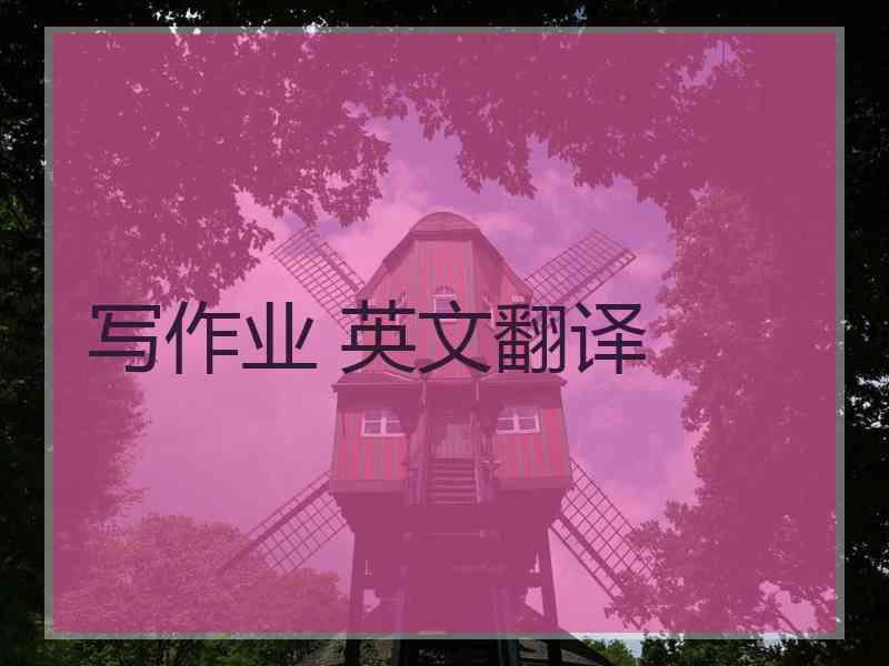 写作业 英文翻译