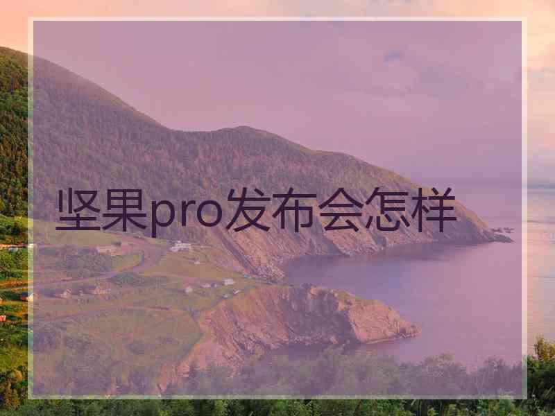 坚果pro发布会怎样