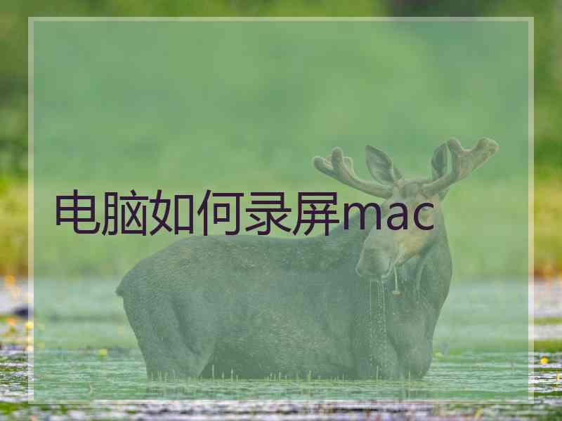 电脑如何录屏mac