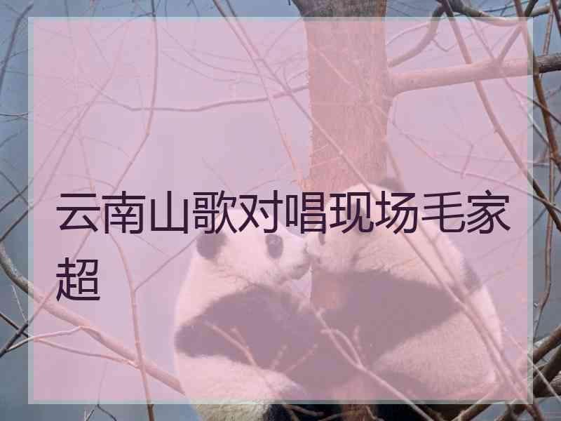 云南山歌对唱现场毛家超