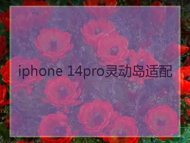 iphone 14pro灵动岛适配