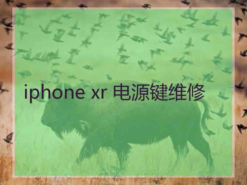 iphone xr 电源键维修