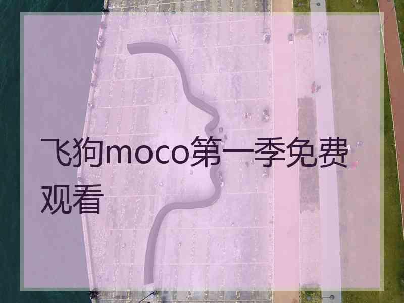 飞狗moco第一季免费观看