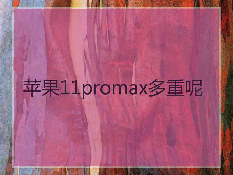 苹果11promax多重呢