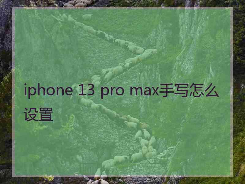 iphone 13 pro max手写怎么设置