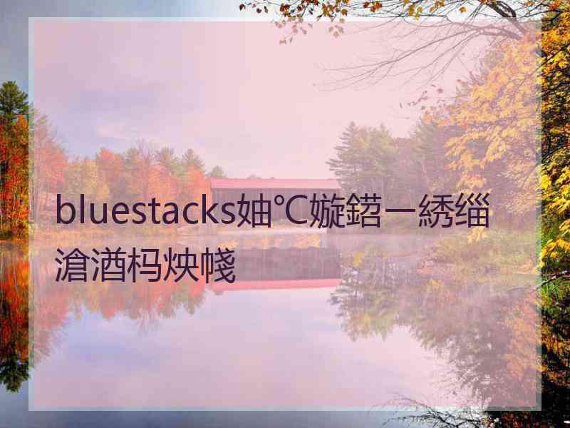 bluestacks妯℃嫙鍣ㄧ綉缁滄湭杩炴帴