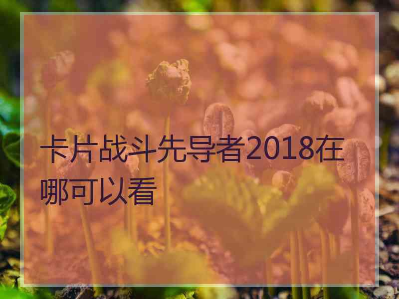 卡片战斗先导者2018在哪可以看