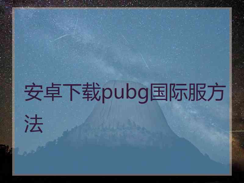 安卓下载pubg国际服方法