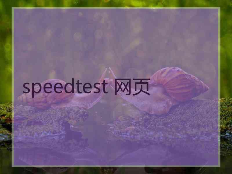 speedtest 网页