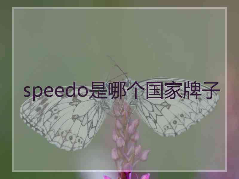 speedo是哪个国家牌子