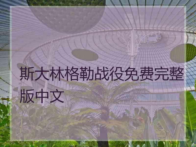 斯大林格勒战役免费完整版中文