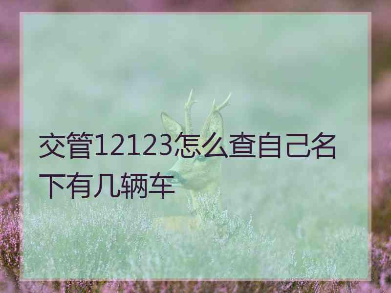 交管12123怎么查自己名下有几辆车