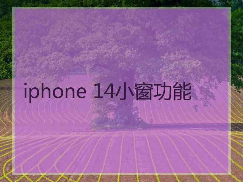 iphone 14小窗功能