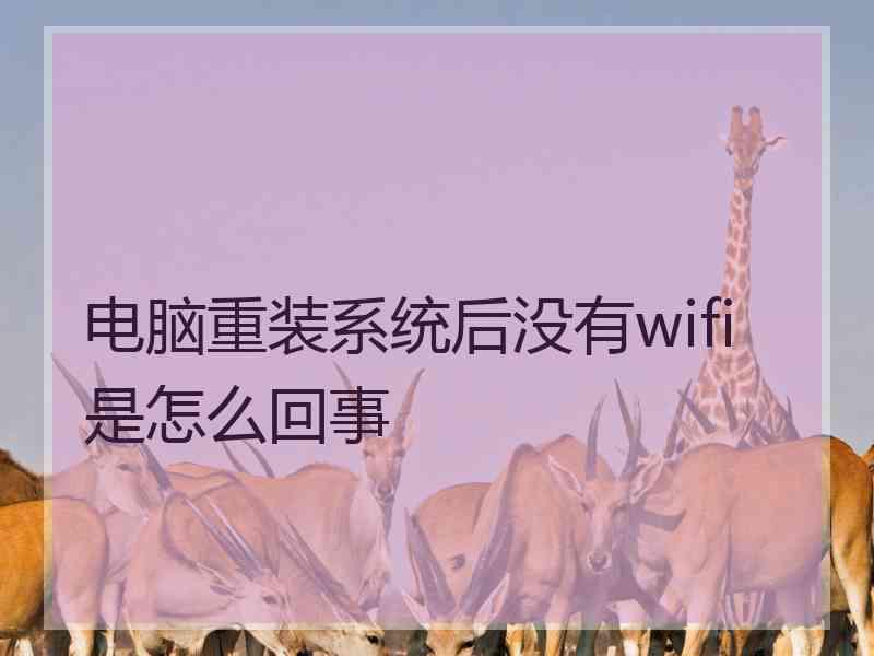 电脑重装系统后没有wifi是怎么回事