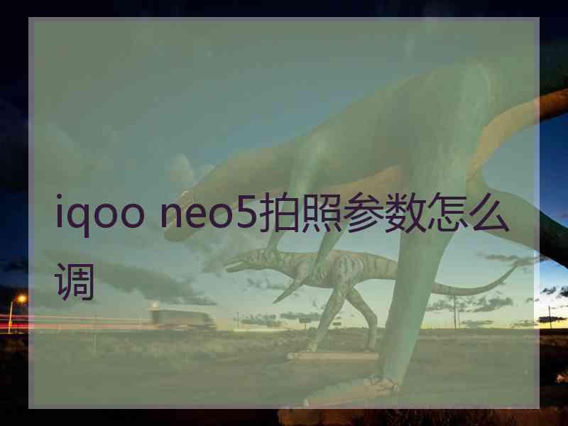 iqoo neo5拍照参数怎么调