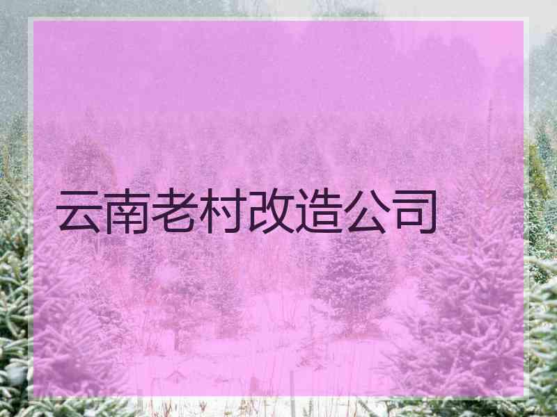 云南老村改造公司