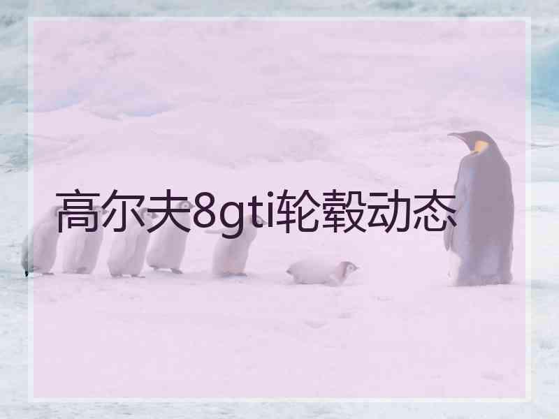 高尔夫8gti轮毂动态