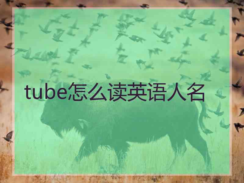 tube怎么读英语人名