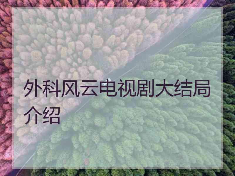 外科风云电视剧大结局介绍