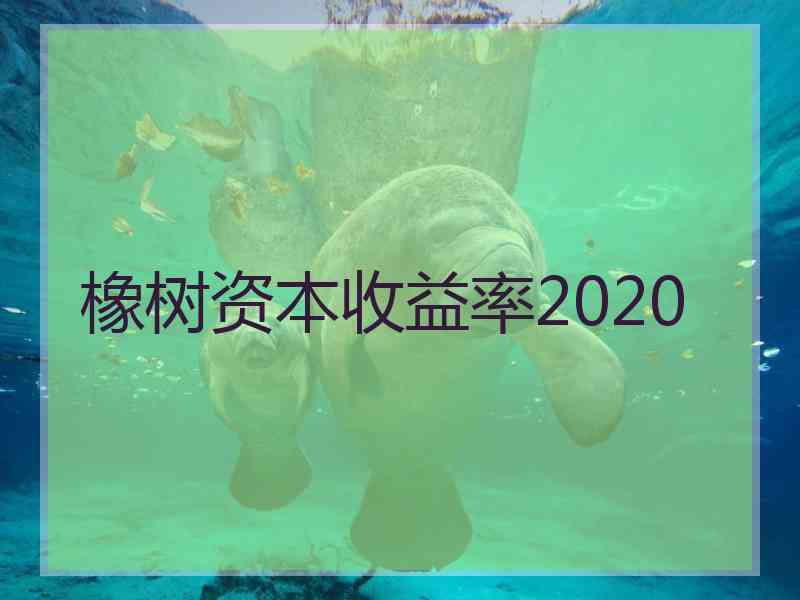 橡树资本收益率2020