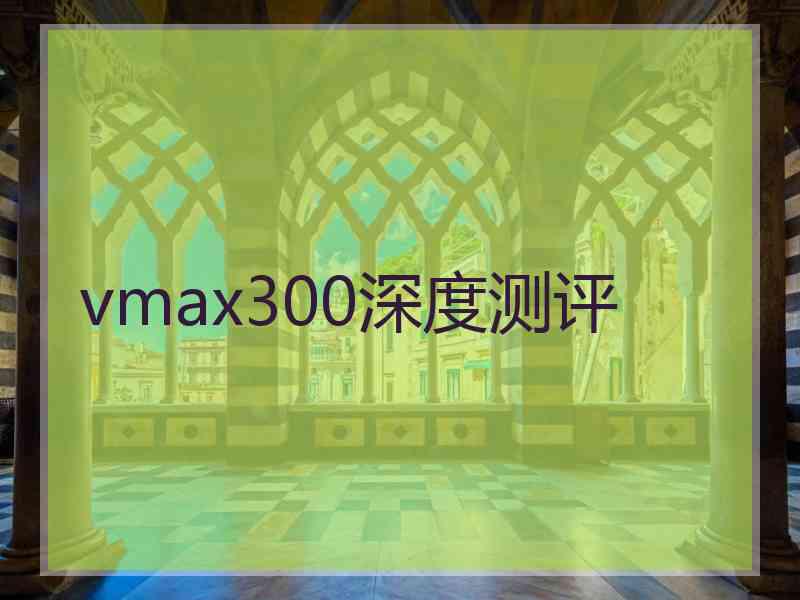 vmax300深度测评