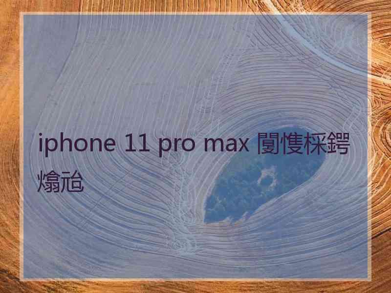 iphone 11 pro max 闅愯棌鍔熻兘