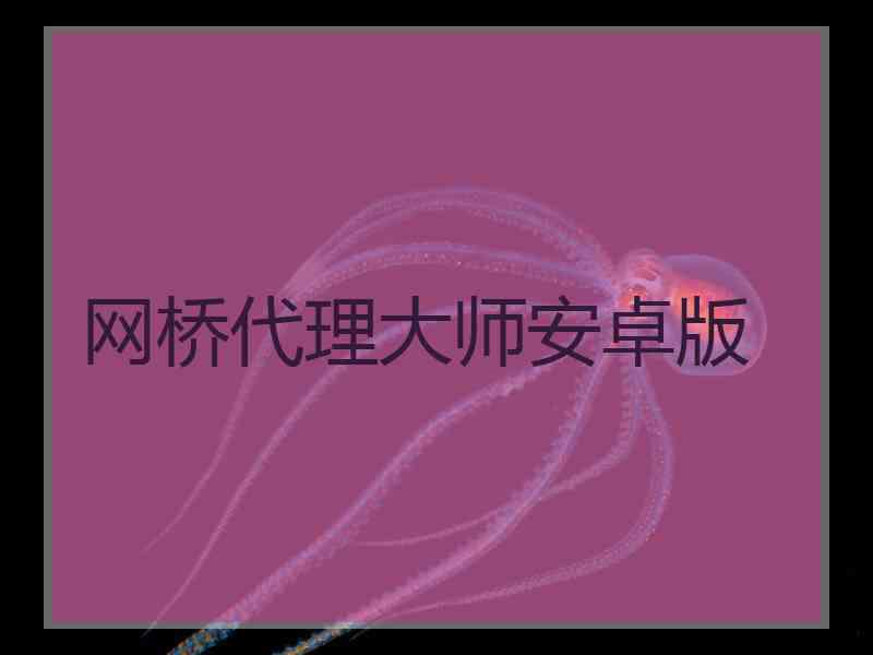 网桥代理大师安卓版