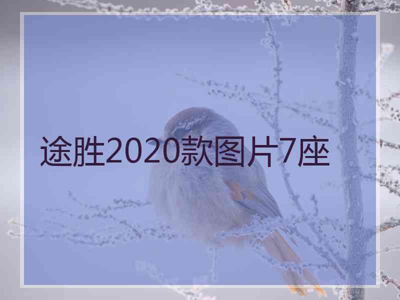 途胜2020款图片7座