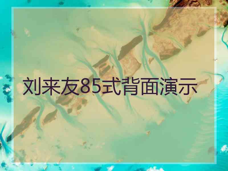 刘来友85式背面演示