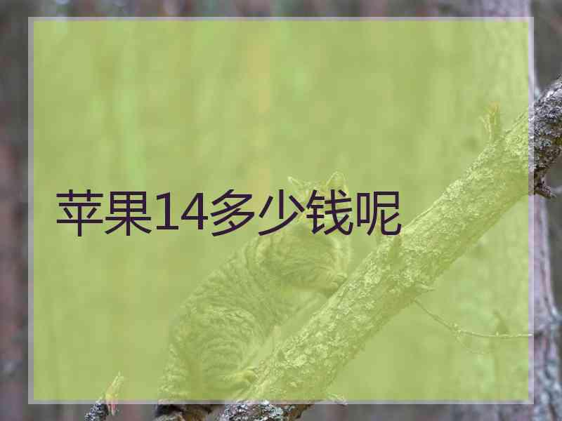 苹果14多少钱呢