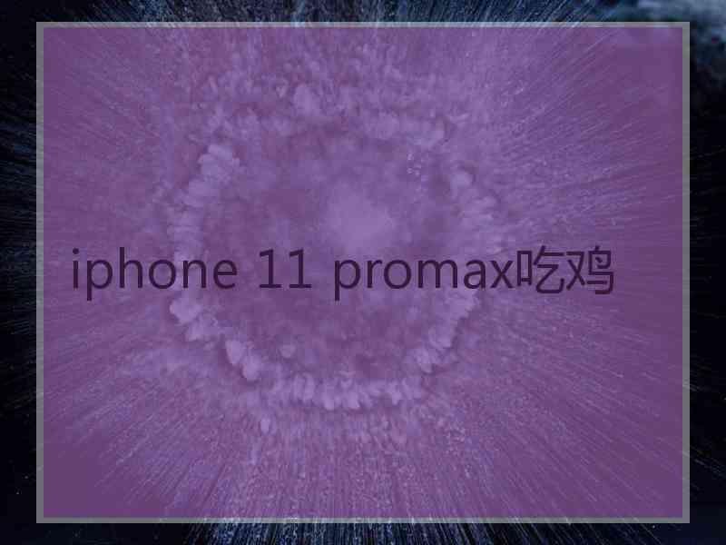 iphone 11 promax吃鸡