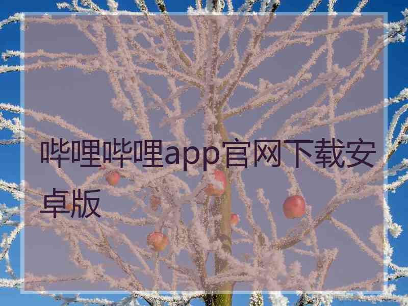 哔哩哔哩app官网下载安卓版