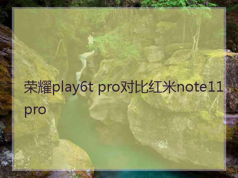 荣耀play6t pro对比红米note11pro