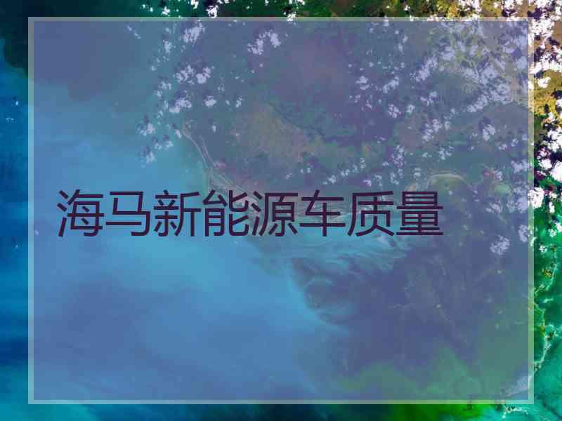 海马新能源车质量